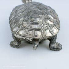 Close up of the tail of a Silver Plated Turtle Trinket Box