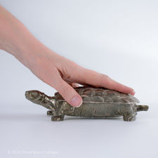 Size demonstration of a Silver Plated Turtle Trinket Box